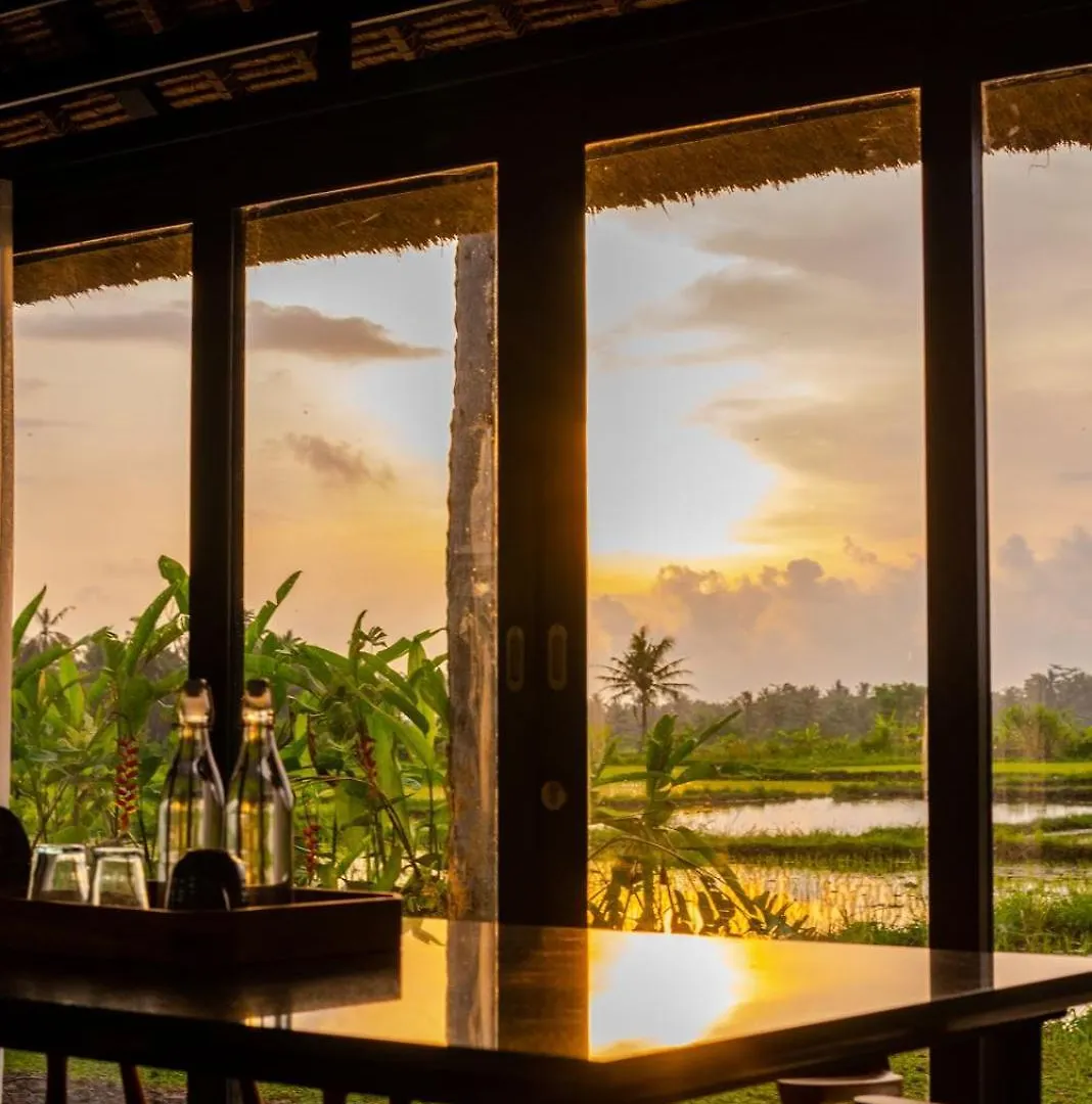 Suga Estate - Rice Field View Villas Ubud